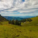 Loechle. Ferienhuette Im Bregenzerwald, *