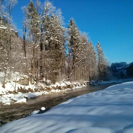 Löchle. Ferienhütte Im Bregenzerwald, Ferienhaus