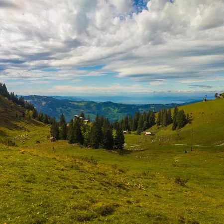 Löchle. Ferienhütte Im Bregenzerwald, *