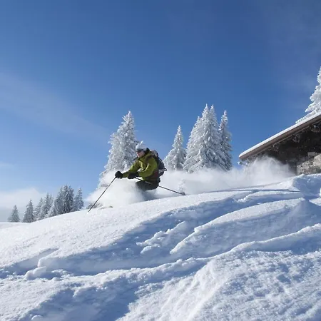 Ferienhaus Löchle. Ferienhütte Im Bregenzerwald, Andelsbuch