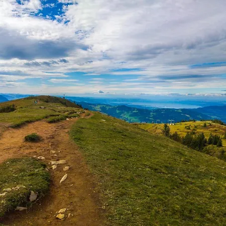 Löchle. Ferienhütte Im Bregenzerwald, *